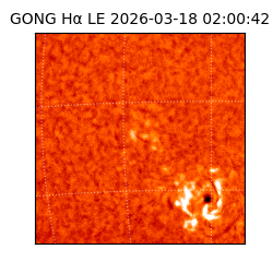 gong - 2026-03-18T02:00:42