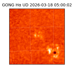 gong - 2026-03-18T05:00:02