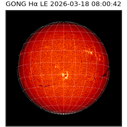 gong - 2026-03-18T08:00:42