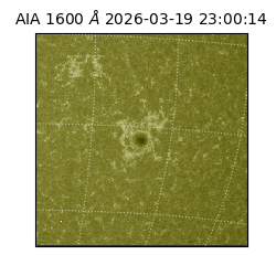 saia - 2026-03-19T23:00:14.124000