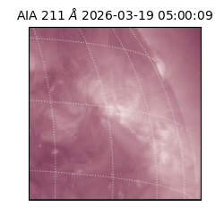 saia - 2026-03-19T05:00:09.628000