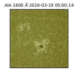 saia - 2026-03-19T05:00:14.130000