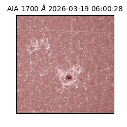 saia - 2026-03-19T06:00:28.446000