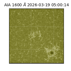 saia - 2026-03-19T05:00:14.130000