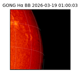 gong - 2026-03-19T01:00:03