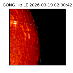 gong - 2026-03-19T02:00:42