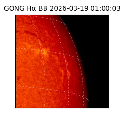 gong - 2026-03-19T01:00:03