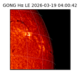 gong - 2026-03-19T04:00:42