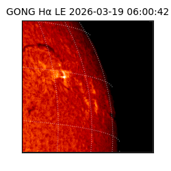 gong - 2026-03-19T06:00:42