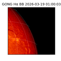gong - 2026-03-19T01:00:03