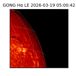 gong - 2026-03-19T05:00:42