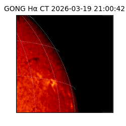 gong - 2026-03-19T21:00:42