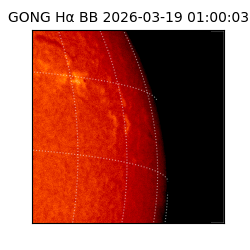 gong - 2026-03-19T01:00:03