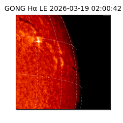 gong - 2026-03-19T02:00:42