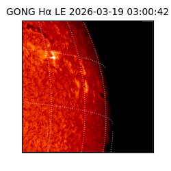 gong - 2026-03-19T03:00:42