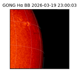 gong - 2026-03-19T23:00:03