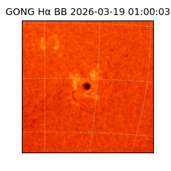 gong - 2026-03-19T01:00:03