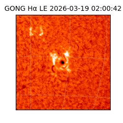 gong - 2026-03-19T02:00:42