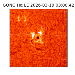 gong - 2026-03-19T03:00:42