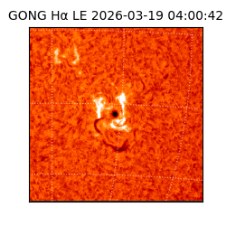 gong - 2026-03-19T04:00:42