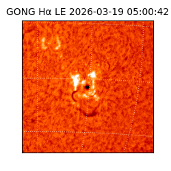 gong - 2026-03-19T05:00:42