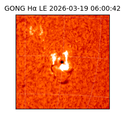 gong - 2026-03-19T06:00:42