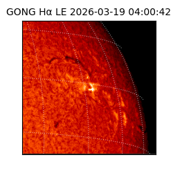 gong - 2026-03-19T04:00:42
