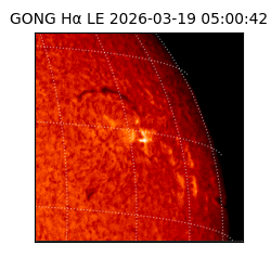 gong - 2026-03-19T05:00:42