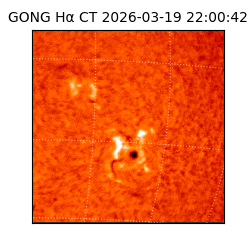 gong - 2026-03-19T22:00:42