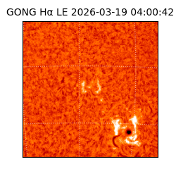 gong - 2026-03-19T04:00:42