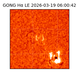 gong - 2026-03-19T06:00:42