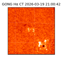 gong - 2026-03-19T21:00:42