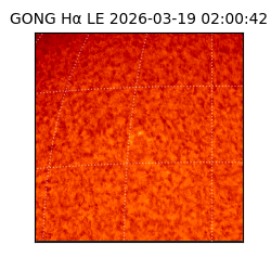 gong - 2026-03-19T02:00:42