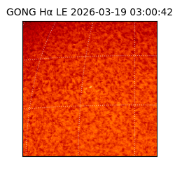 gong - 2026-03-19T03:00:42
