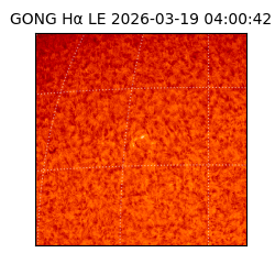 gong - 2026-03-19T04:00:42