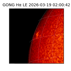 gong - 2026-03-19T02:00:42