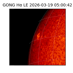 gong - 2026-03-19T05:00:42