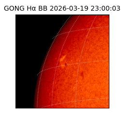 gong - 2026-03-19T23:00:03