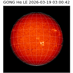 gong - 2026-03-19T03:00:42
