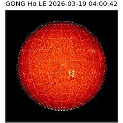 gong - 2026-03-19T04:00:42