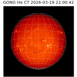 gong - 2026-03-19T22:00:42