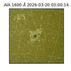 saia - 2026-03-20T03:00:14.131000