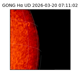 gong - 2026-03-20T07:11:02