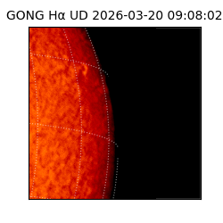 gong - 2026-03-20T09:08:02
