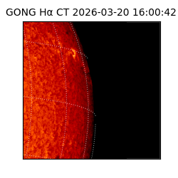 gong - 2026-03-20T16:00:42