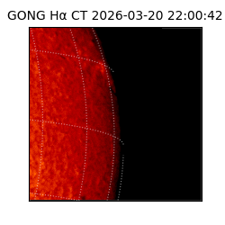 gong - 2026-03-20T22:00:42