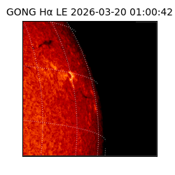 gong - 2026-03-20T01:00:42