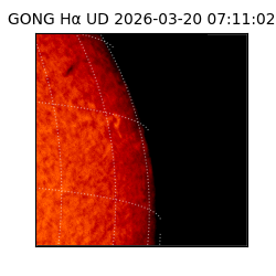 gong - 2026-03-20T07:11:02
