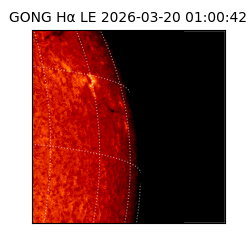 gong - 2026-03-20T01:00:42