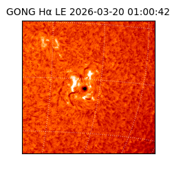 gong - 2026-03-20T01:00:42